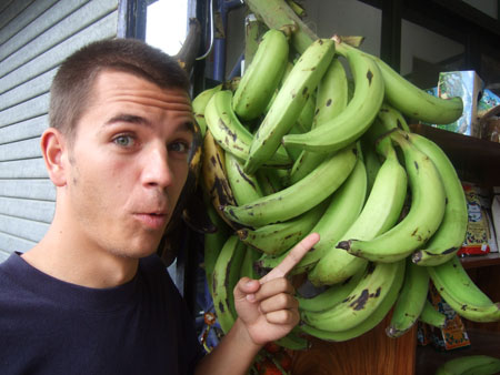 kochbananen_monteverde_cr